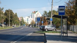 Белгородские специалисты завершат ремонт трассы к Смородинскому ФАПу