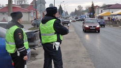 Грайворонские инспекторы рекомендовали жителям округа быть внимательными на дорогах