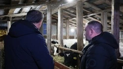 Вячеслав Гладков встретился с заключившим соцконтракт на развитие собственного дела участником СВО 