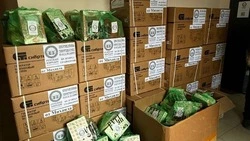 Гуманитарную помощь от фонда «Русский порядок» доставили в Грайворонский округ