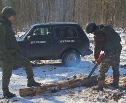 Специалисты Грайворонского лесничества рассказали о проведении биотехнических мероприятий