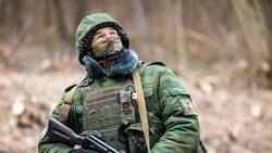 Вячеслав Гладков рассказал о вручении свыше 50 наград бойцам самообороны